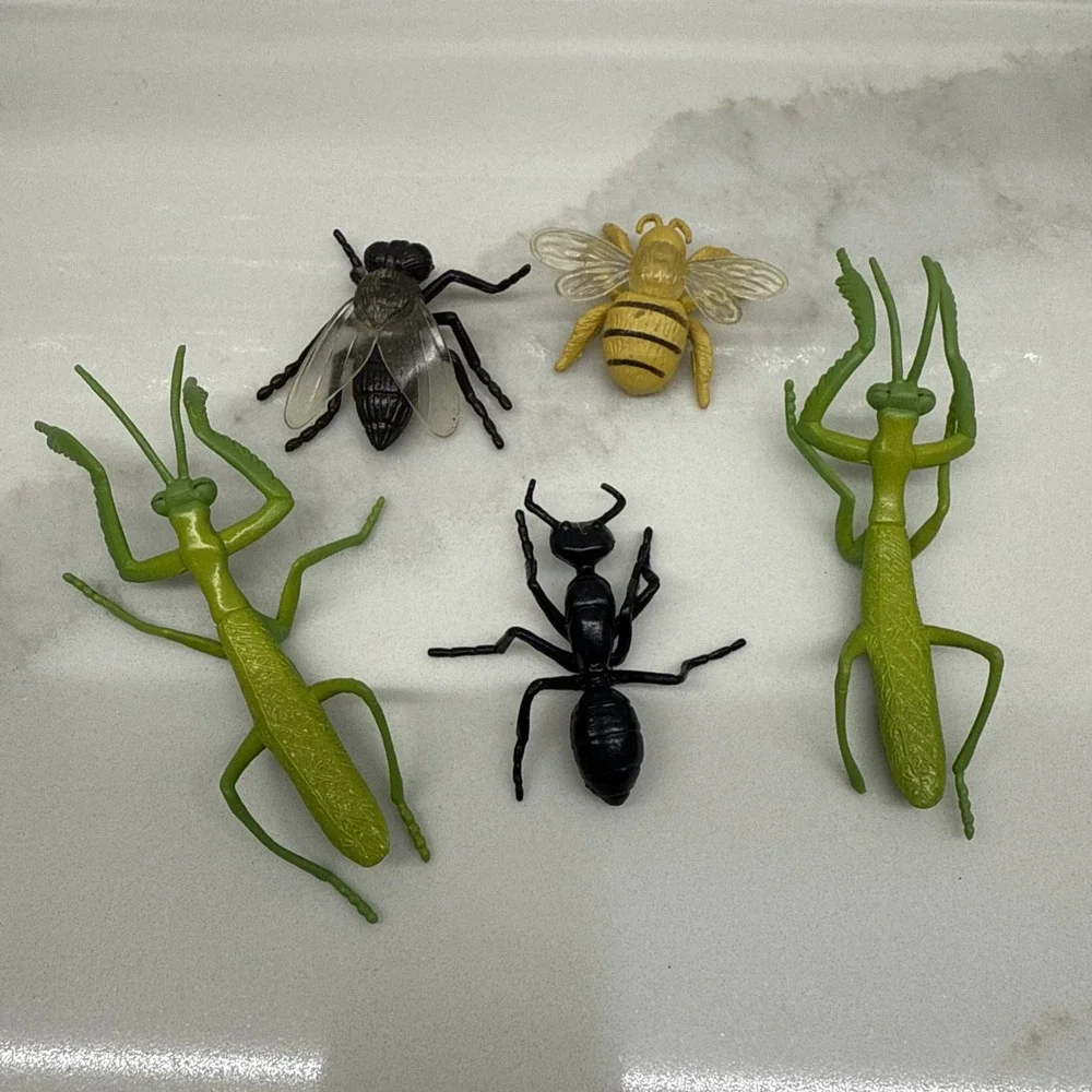 Safari Ltd Bugs Insects 2